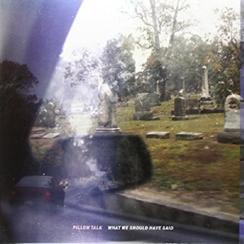 A vinyl record cover with a cemetery scene reflected in a car window.