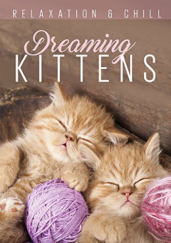 DVD cover with two orange kittens sleeping near yarn balls.