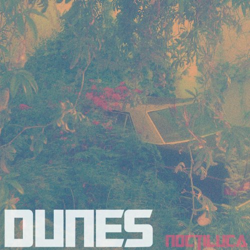 CD cover with lush foliage, a vintage television, and bold white text.