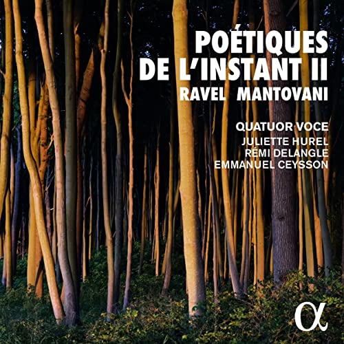 CD cover with a forest of slender, illuminated tree trunks.