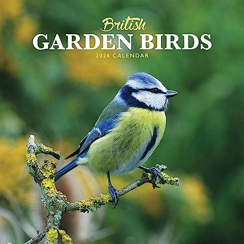 British Garden Birds Mini Wall Calendar 2024