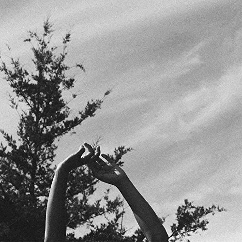 Black and white photograph of two hands reaching for a twig against a cloudy sky.