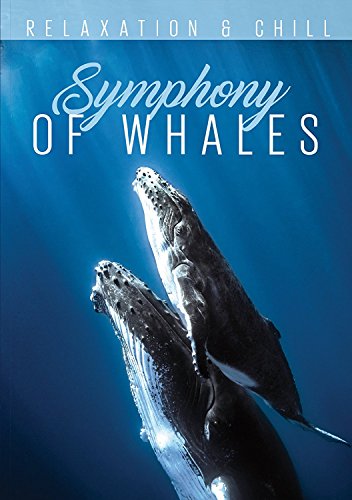 DVD cover featuring two humpback whales underwater, viewed from below.
