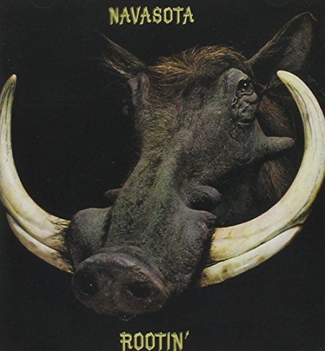 "CD cover featuring a close-up of a warthog's head with large tusks."