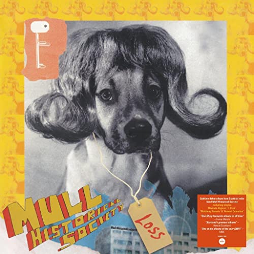Album cover for Mull Historical Society’s “Loss” featuring a dog with a wig.