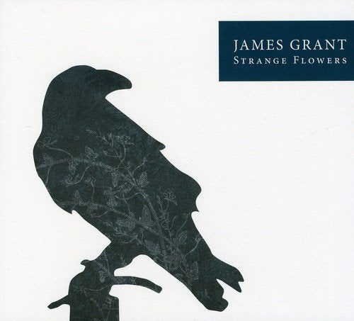 CD cover: black silhouette of a raven with floral details.
