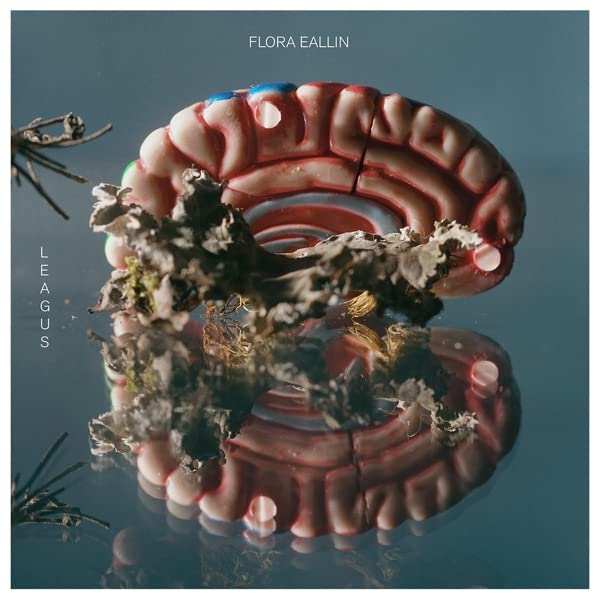 CD cover with a brain-shaped object adorned with dried flowers.