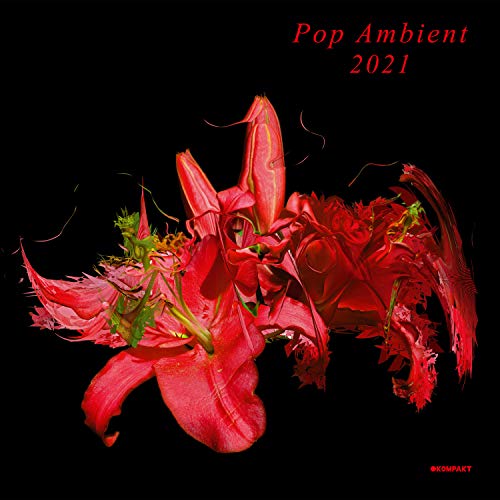Album cover for “Pop Ambient 2021” featuring a vibrant red lily against black.