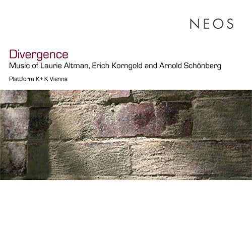 A CD cover featuring a close-up of a stone wall with text above.
