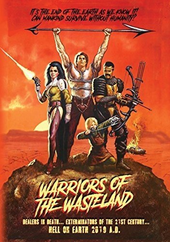 Post-apocalyptic DVD cover featuring four armed figures against an orange sky.
