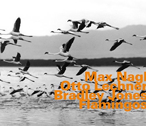 "Album cover featuring a black-and-white image of flamingos flying over water with orange text."