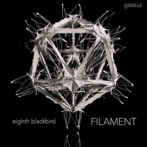 CD cover for Eighth Blackbird’s “Filament” featuring a geometric, wireframe sculpture.