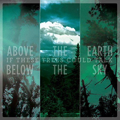 "Album cover with three panels showing trees and cloudy sky, with band and album name."