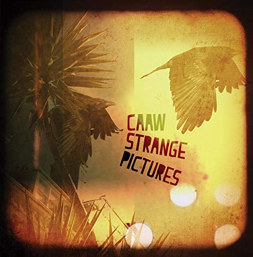 "CD cover art: 'CAAW Strange Pictures' with birds, palm tree, and yellow background."