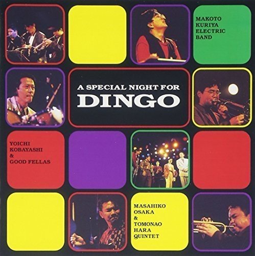 CD cover for "A Special Night for Dingo" with musicians in colorful squares.