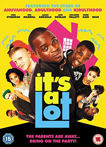 DVD cover for "It's A Lot" featuring a group of young adults.