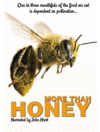 The image is a DVD cover featuring a close-up of a bee in flight. Alt text: "DVD cover with a bee in flight and 'More Than Honey' text."