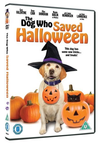 DVD cover featuring a dog wearing a witch hat with pumpkins.