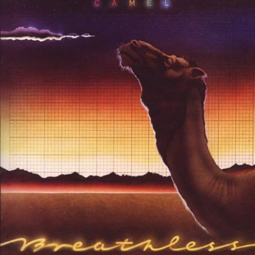 Camel album cover with camel silhouette against a grid-patterned desert sunset background.