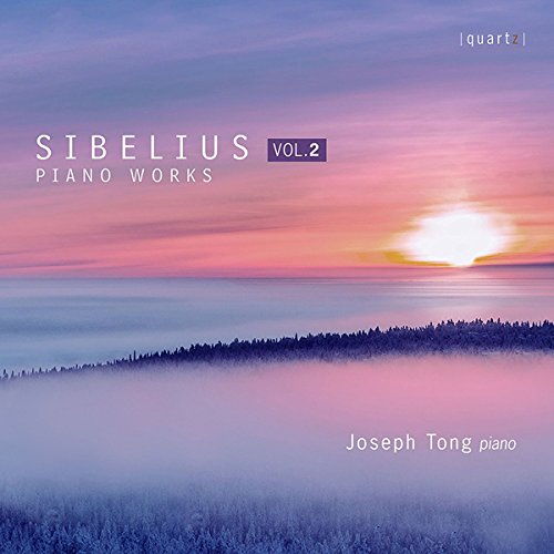 A serene landscape with fog, trees, and a pink sunset on a music album cover.