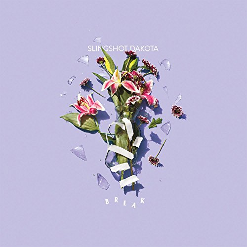 Album cover for Slingshot Dakota’s “Break” featuring flowers and broken glass.