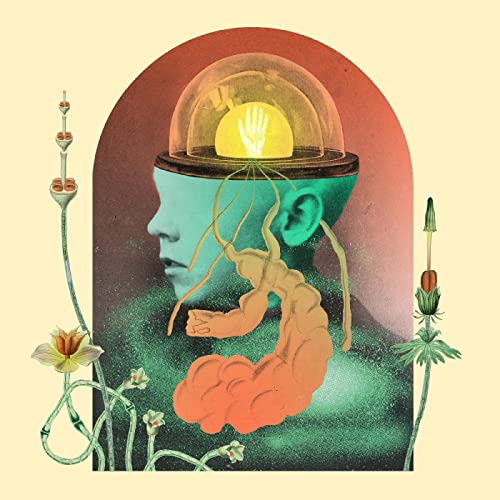 Surreal collage of a head with glowing hand inside a dome, plants.