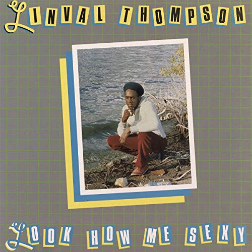 Vinyl album cover with a man crouching by water, surrounded by text and grid pattern.