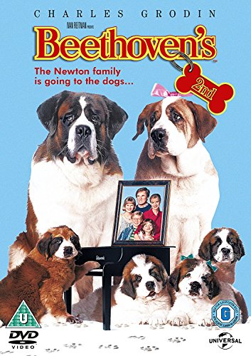 "Beethoven's 2 DVD cover featuring large St. Bernard dogs and a family photo."