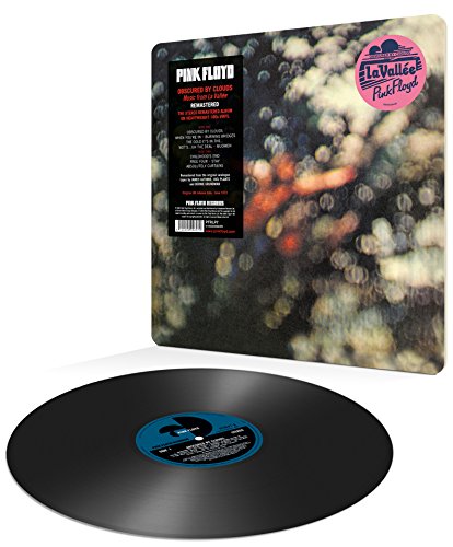 "Pink Floyd vinyl record and cover with abstract, bokeh-style artwork and a pink sticker."