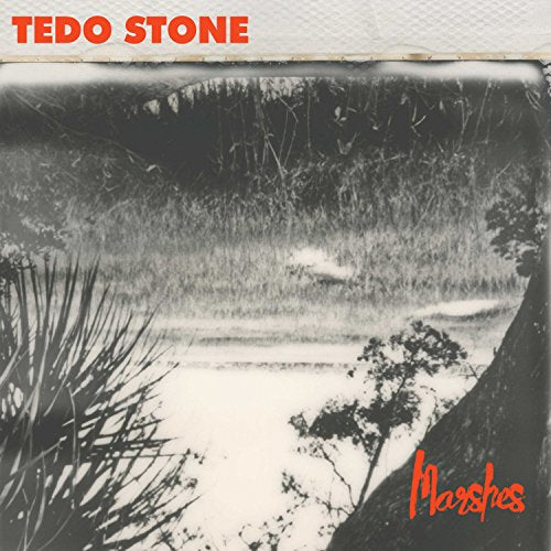 Album cover for Marshes by Tedo Stone featuring a grainy black and white landscape.