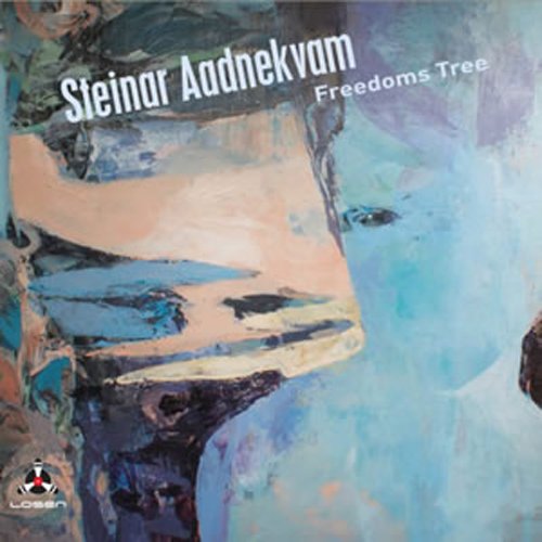 "Album cover with abstract painting and artist name Steinar Aadnekvam in white text."