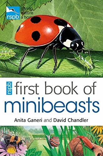 "Book cover featuring a ladybug and grasshopper, with illustrations of insects and flowers."