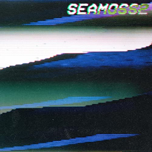 Seamoss2" vinyl record cover with distorted, colorful wave-like graphics.