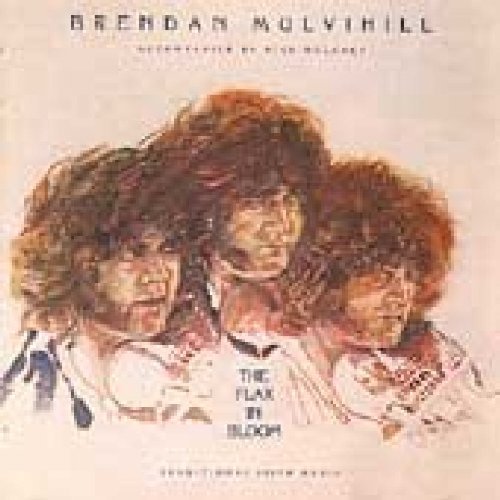 "Album cover with sketch of three men with large hair, text 'Brendan Mulvihill' and 'The Flax Is Bloom'."
