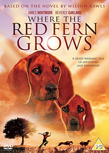 DVD cover featuring two coonhound dogs and a boy running with dogs in a field.