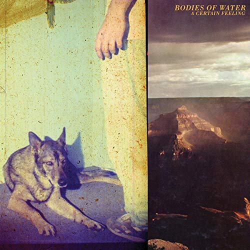 CD cover with legs, a dog, and a landscape split vertically.
