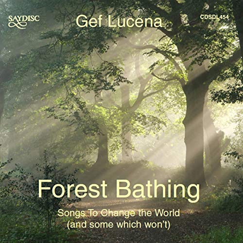 A CD cover featuring a misty forest scene with sunbeams and the title "Forest Bathing".