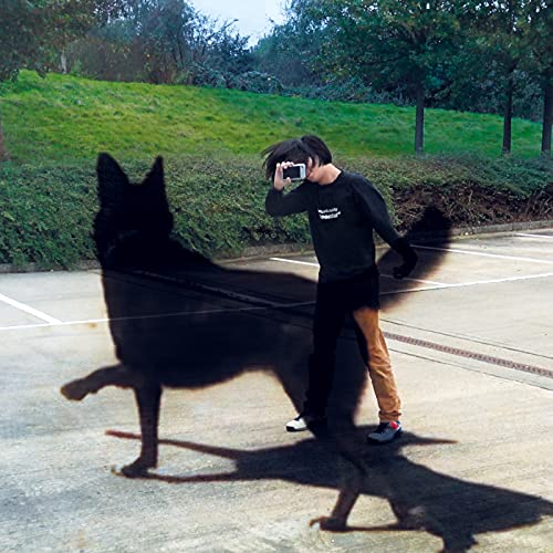 A person taking a photo with a large, translucent black dog shadow overlaying them.