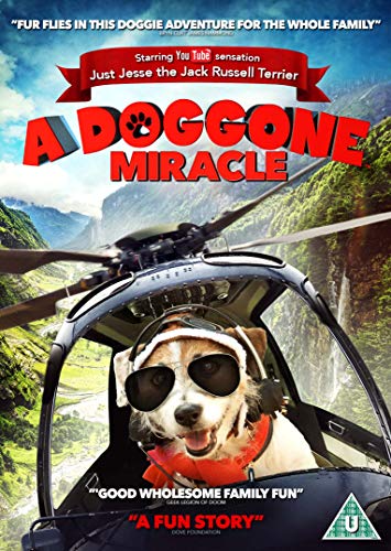DVD cover featuring a dog wearing sunglasses in a helicopter over a mountainous landscape.