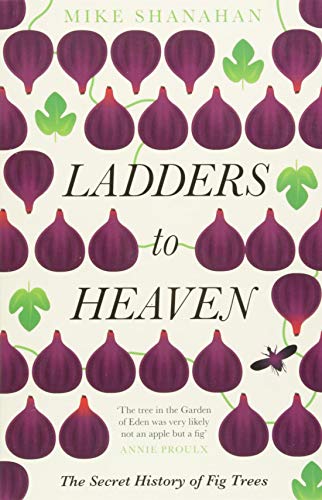 Ladders to Heaven