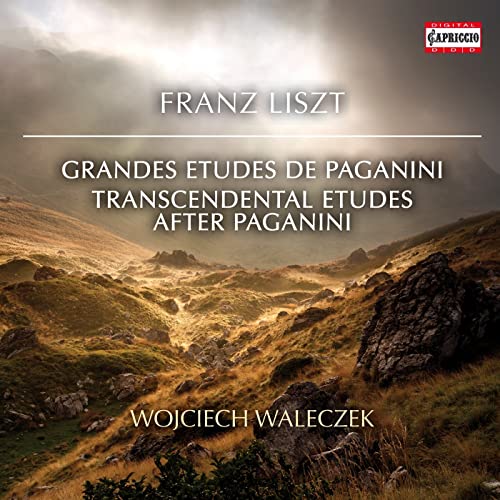 CD cover for Franz Liszt piano works performed by Wojciech Waleczek.