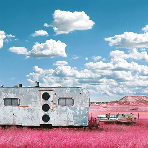 Vintage trailer in a pink field under a bright, cloudy sky.