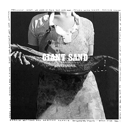 Black and white album cover for Giant Sand’s “proVISIONS” featuring a person’s back.