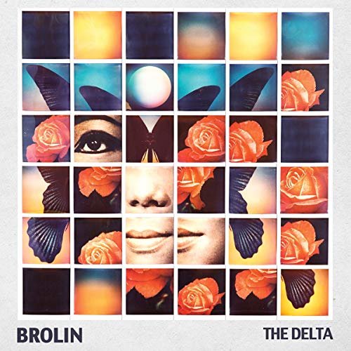 The image is a 5x5 grid of various images, including a face, flowers, and abstract shapes. A concise alt text for this image could be: "Album cover with a grid of 25 images, featuring a face and flowers."