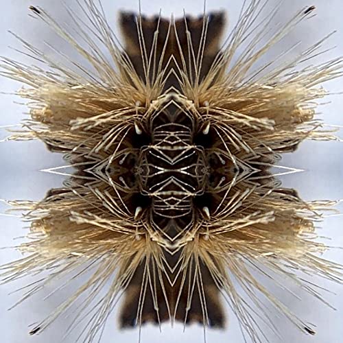 Symmetrical abstract image of spiky, golden-brown textures resembling plant life.