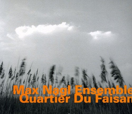 CD cover with blurry grass and cloudy sky, orange text, and Amazon logo.