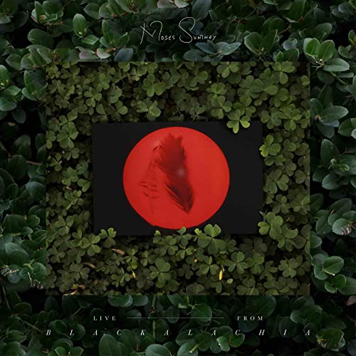 Vinyl album cover: red circle with feather, framed by green foliage.
