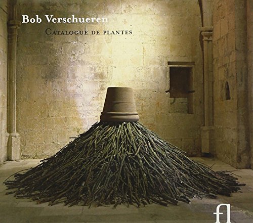 "CD cover featuring a pile of twigs with a terracotta pot on top."