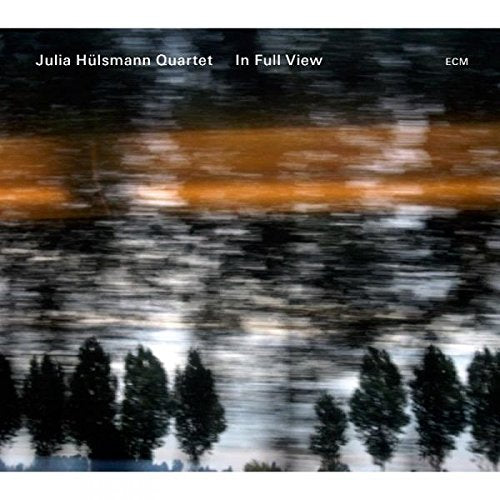 "Blurry image of trees and water, album cover for 'In Full View' by Julia Hülsmann Quartet."