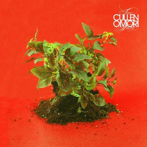 Album cover for Cullen Omori’s “New Misery” featuring a plant on dark soil.